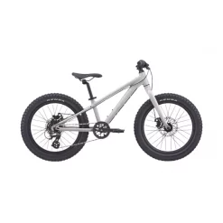Bicicleta Giant STP 20