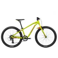 Bicicleta Orbea MX 24 Dirt 23