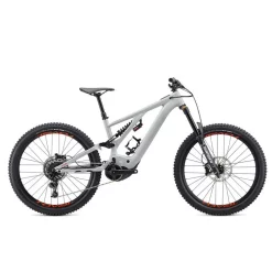 Bicicleta Specialized Kenevo Comp